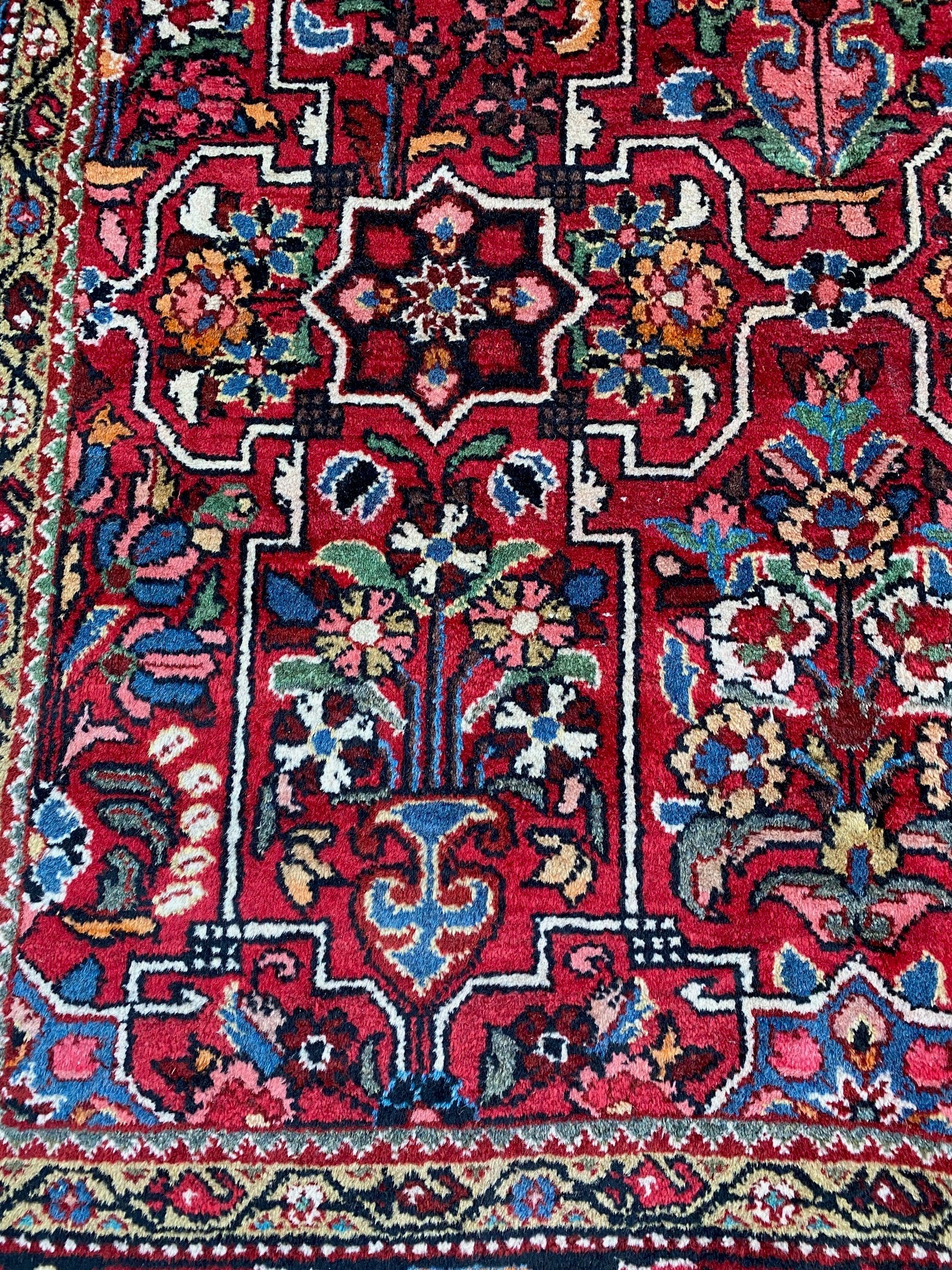 Oriental & Traditional Carpets