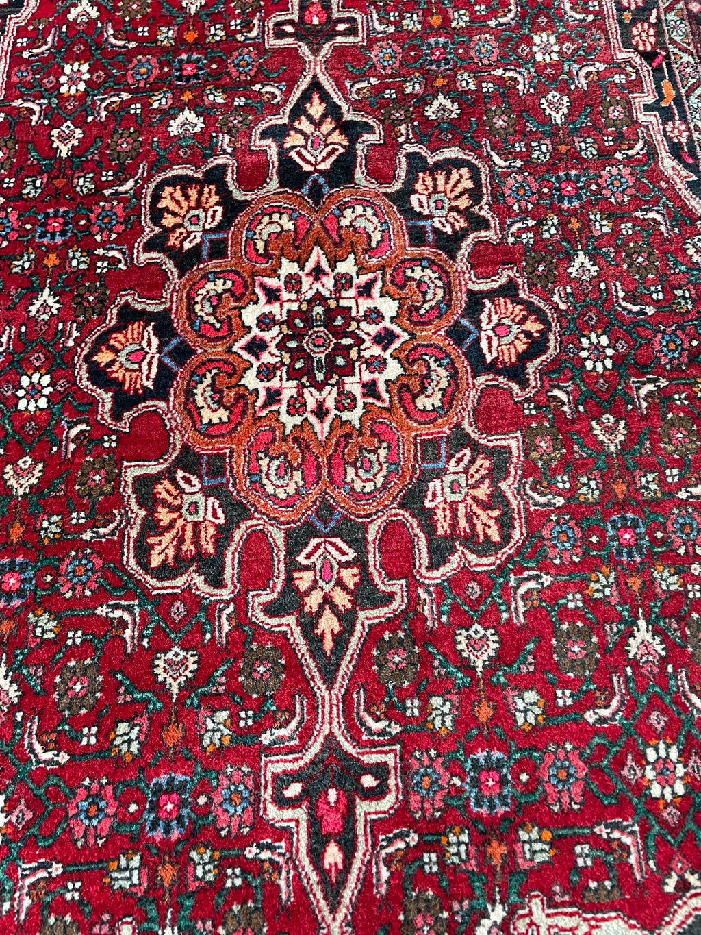 Bidjar Rug 177 × 104 cm
