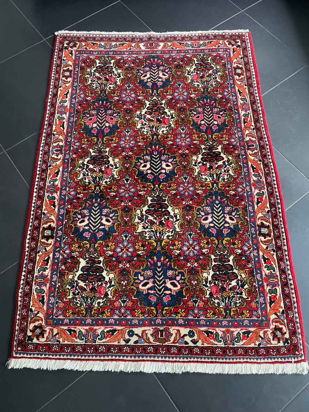 Bachtiar 163 x 109 cm