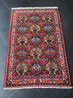 Bachtiar 163 x 109 cm