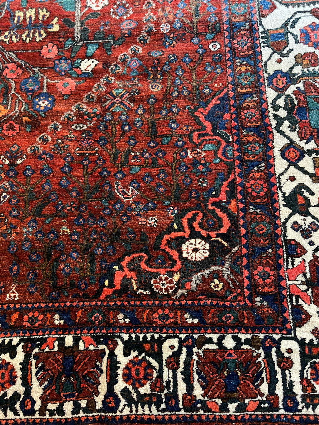 Gashghai Rug 312 × 210 cm