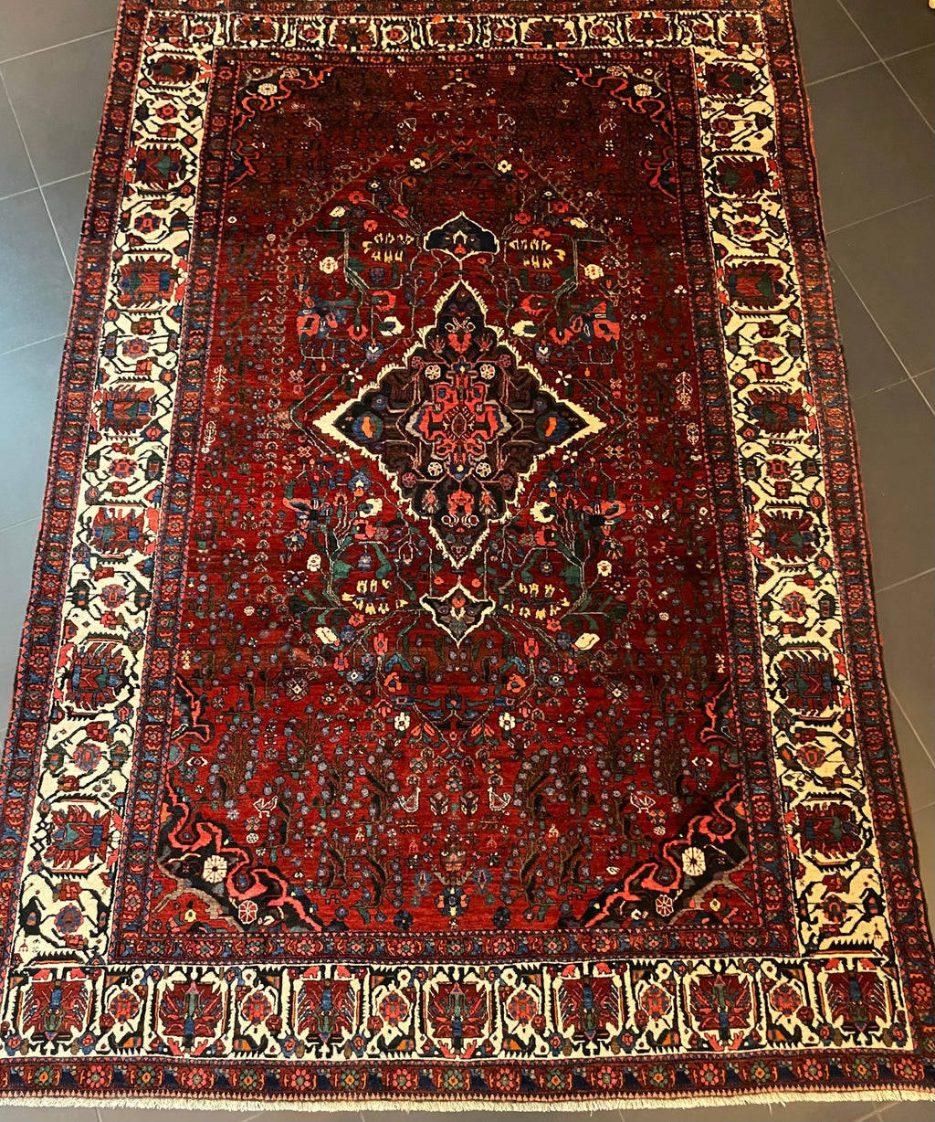Gashghai Rug 312 × 210 cm