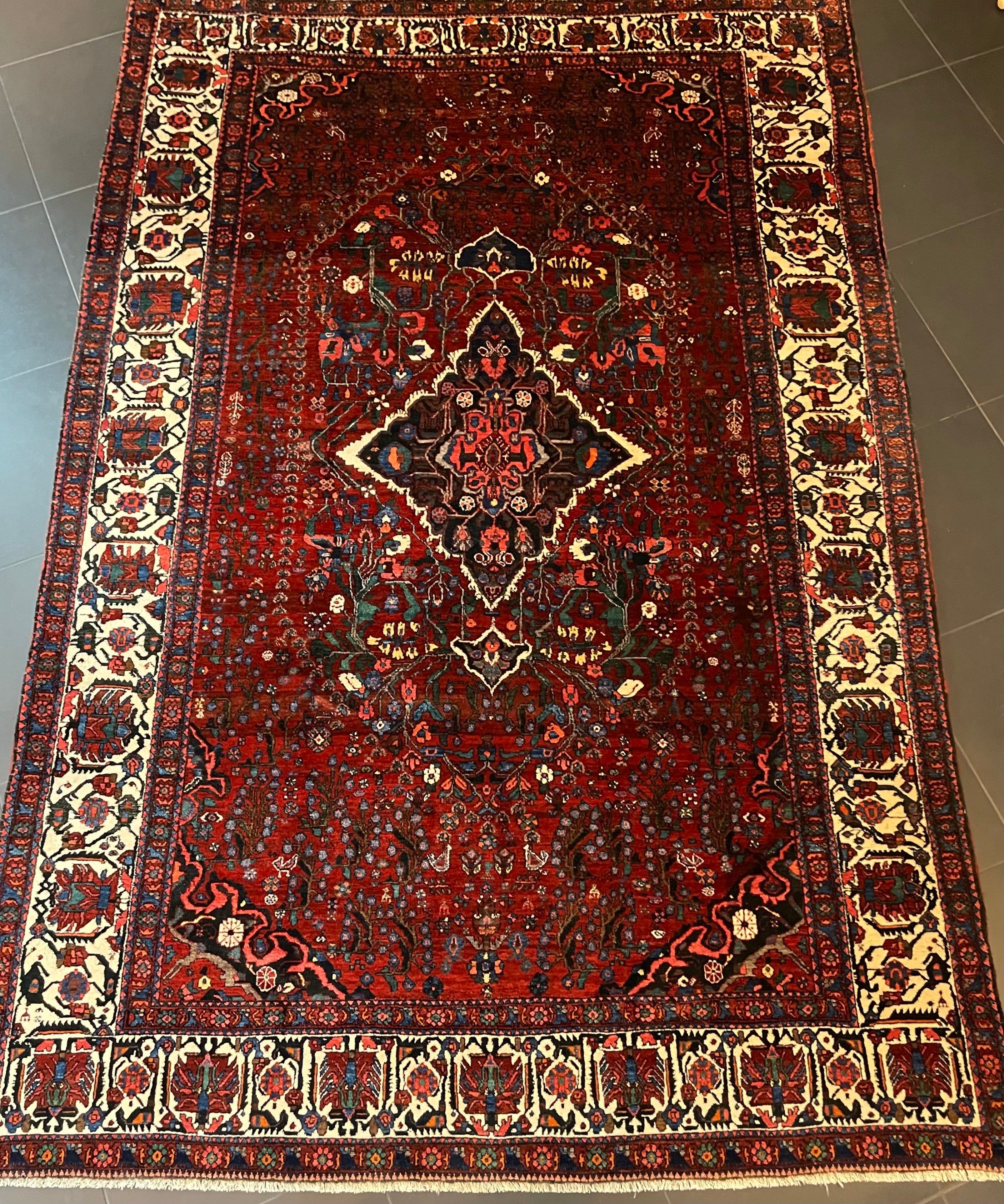 Gashghai Rug 312 × 210 cm