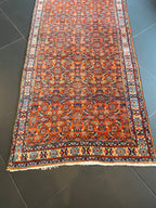 Bidjar Rug 233 × 79 cm
