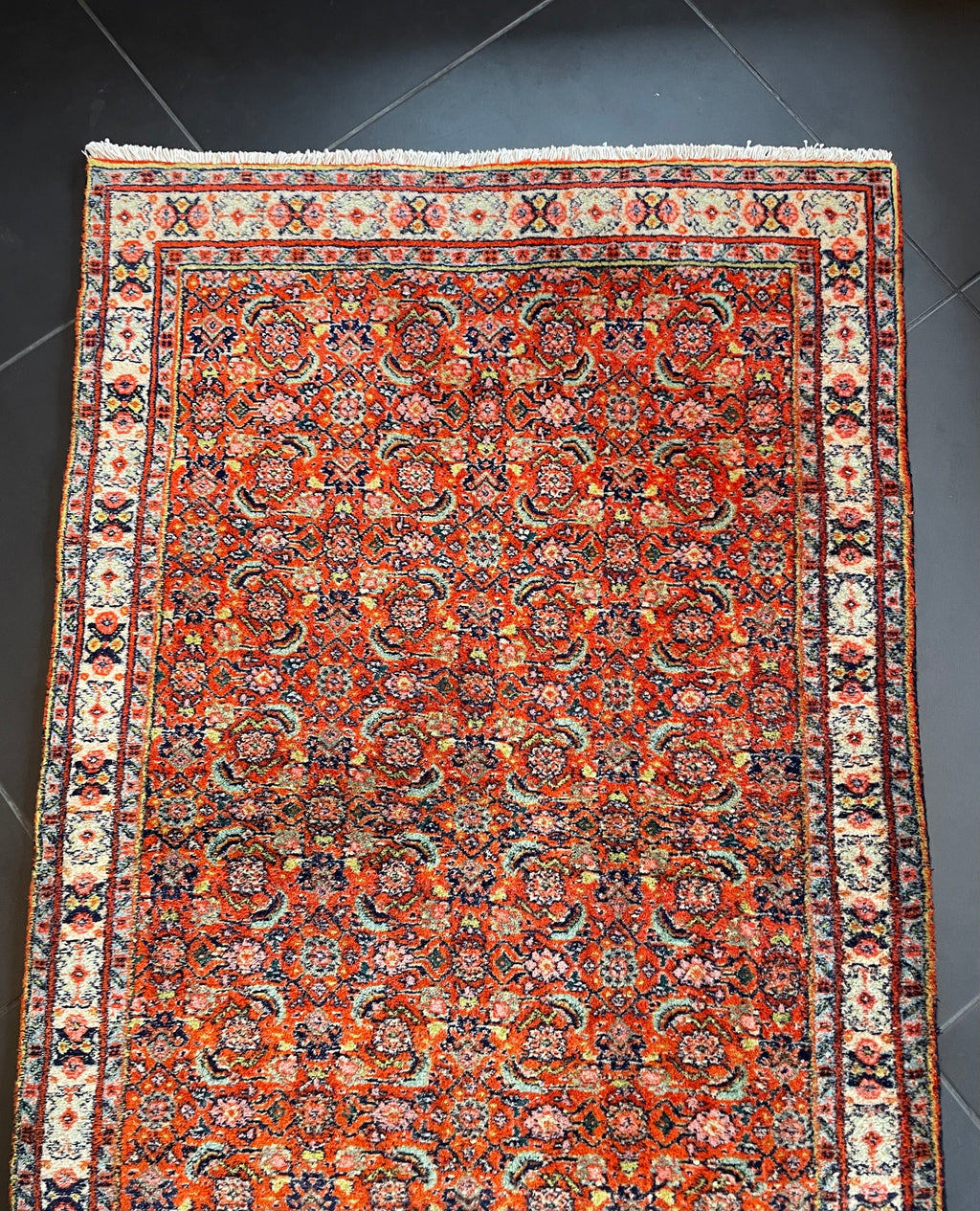 Bidjar Rug 233 × 79 cm