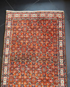 Bidjar Rug 233 × 79 cm