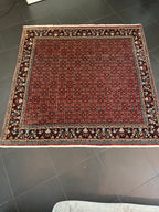 Bidjar-matto 203×203 cm
