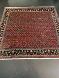 Bidjar-matto 203×203 cm