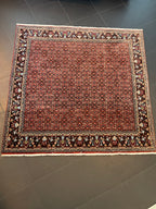 Bidjar-matto 203×203 cm