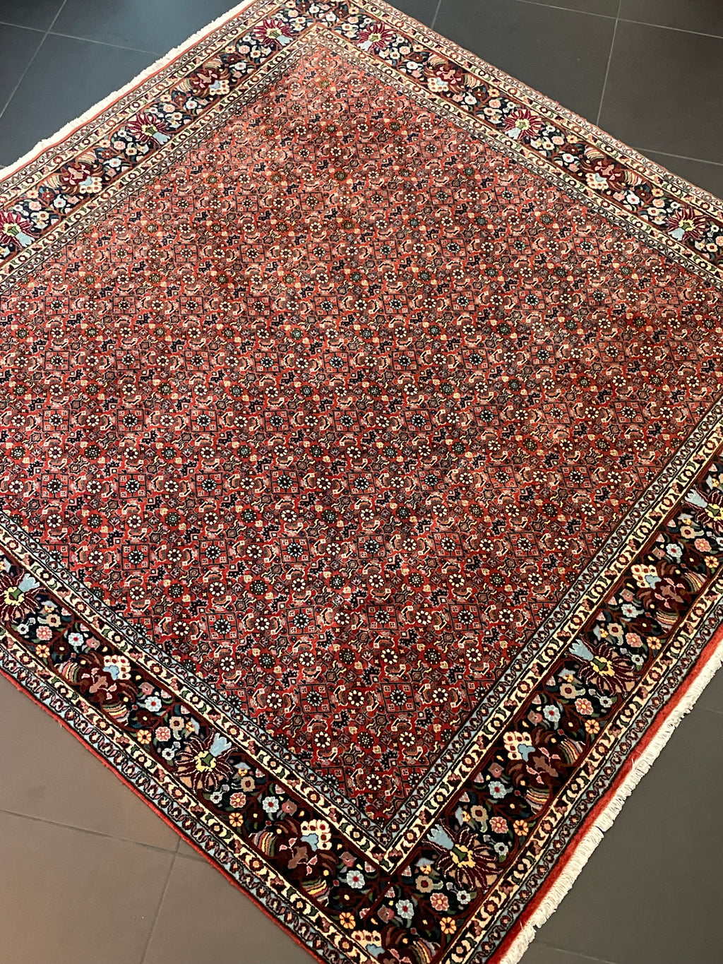 Bidjar-matto 203×203 cm