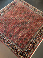 Bidjar-matto 203×203 cm