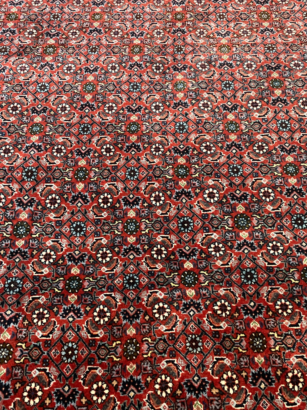 Bidjar-matto 203×203 cm