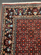 Bidjar-matto 203×203 cm